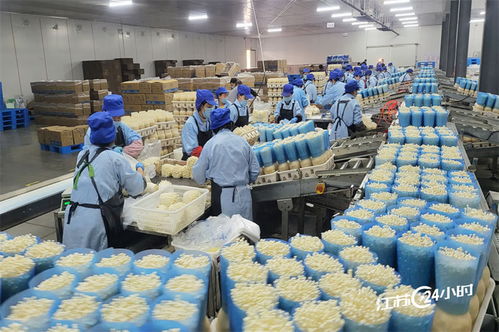 工廠化種植食用菌 規(guī)模化供應(yīng)與日用雜品市場的融合新機(jī)遇